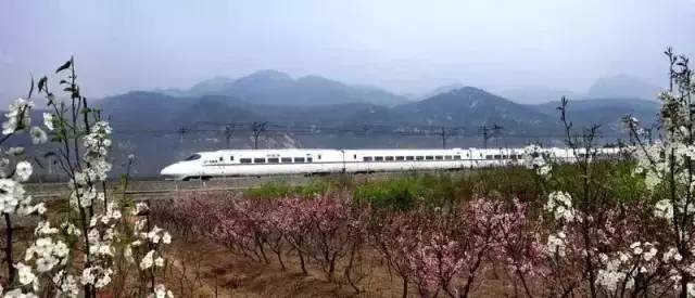 上海鐵路客運(yùn)迎來新發(fā)展 專訪郭竹學(xué)局長解讀重大信息